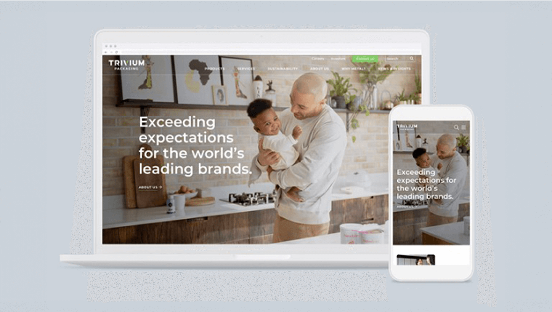<h3 class="underline">Trivium Packaging</h3>
<p><span class="small">Award-Winning Website Designed to Scale Sustainably</span></p>