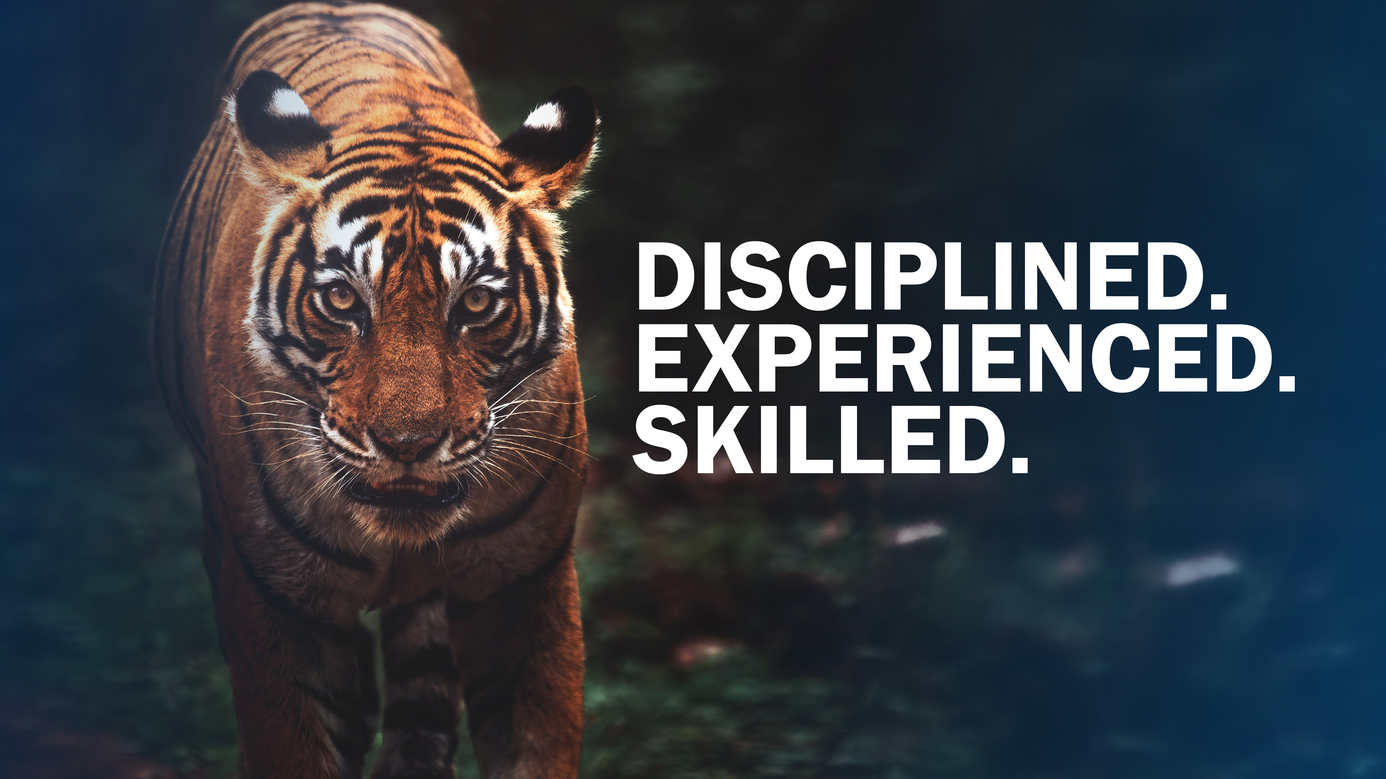 Gallery image showcasing CTI Messaging